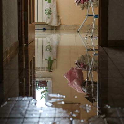 Water damage restoration and mold removal